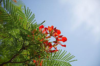 Xbox对《星空》支持令人难以置信 让B社更雄心勃勃